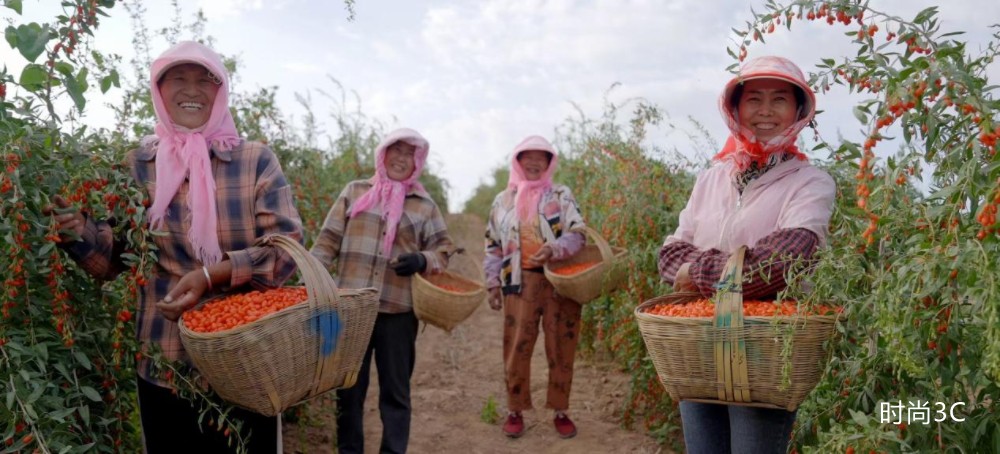 践行ESG理念 容声冰箱“寻鲜之旅”助农入选社会责任实践成果